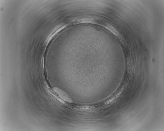 X0000059090790200510172053