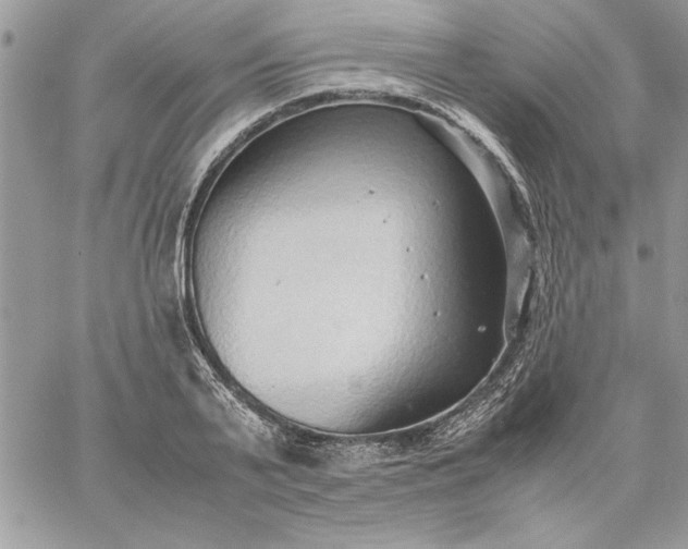 X0000059090791200510172053