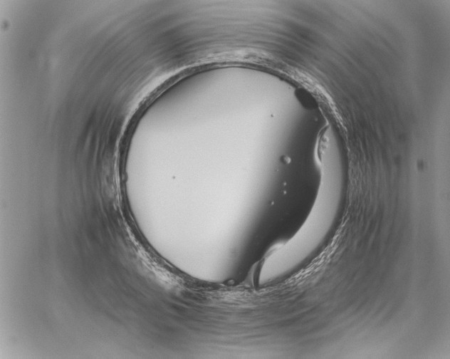 X0000059090792200510172053