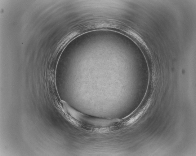 X0000059090793200510172053