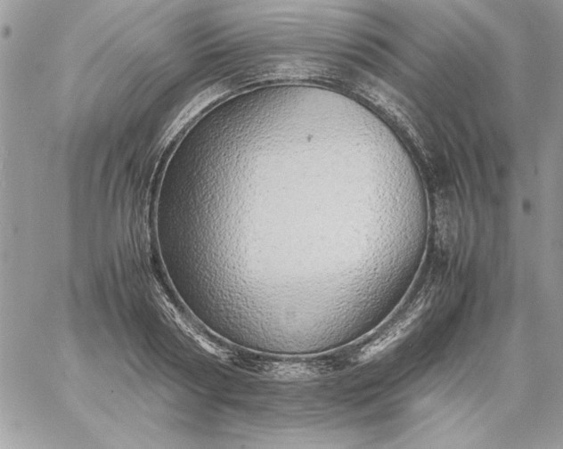 X0000059090794200510172053