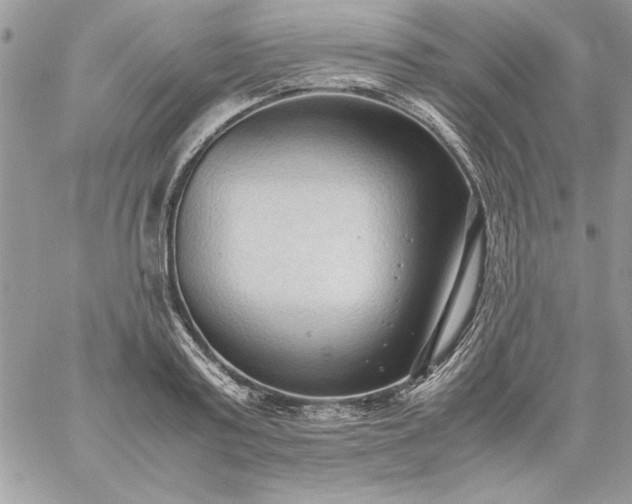 X0000059090795200510172053