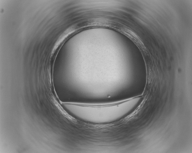 X0000059090796200510172053