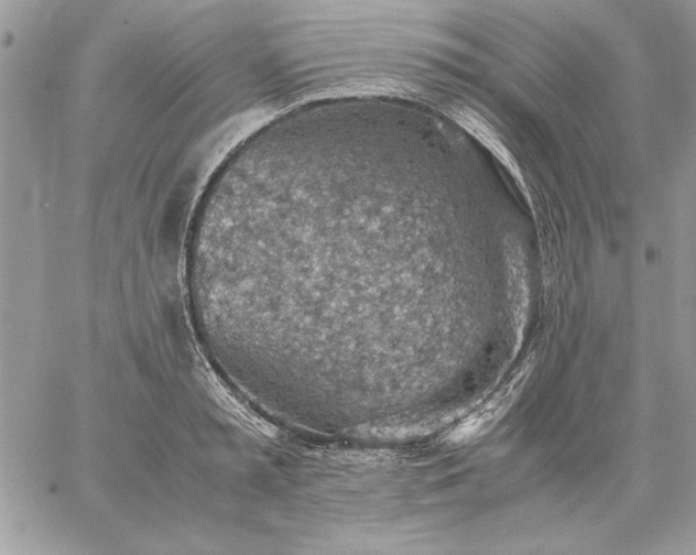 X0000059090797200510172053