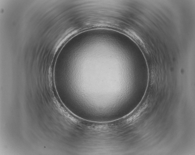 X0000059090798200510172053