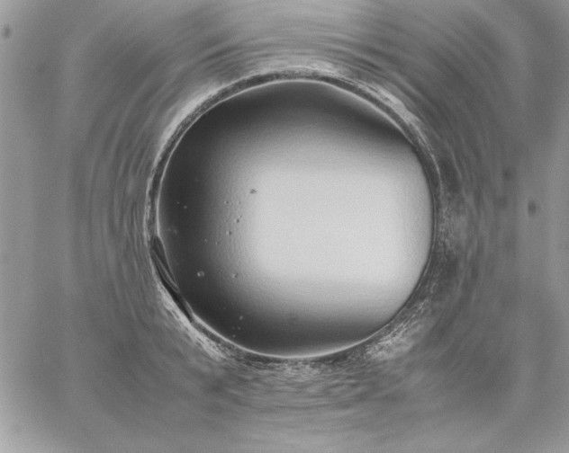 X0000059090799200510172053