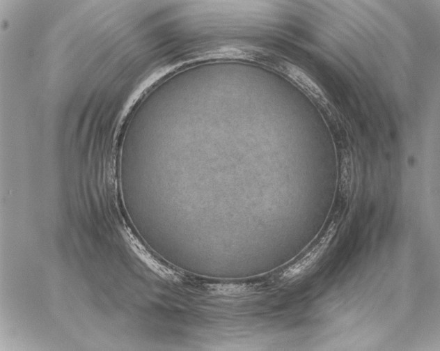 X0000059090800200510172053