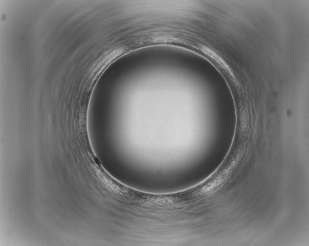 X0000059090801200510172053