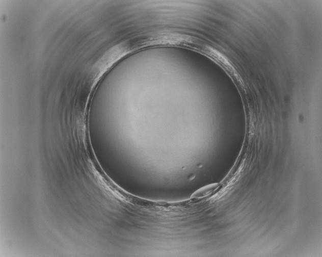 X0000059090802200510172053