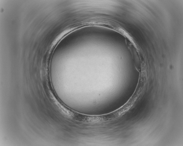 X0000059090803200510172053