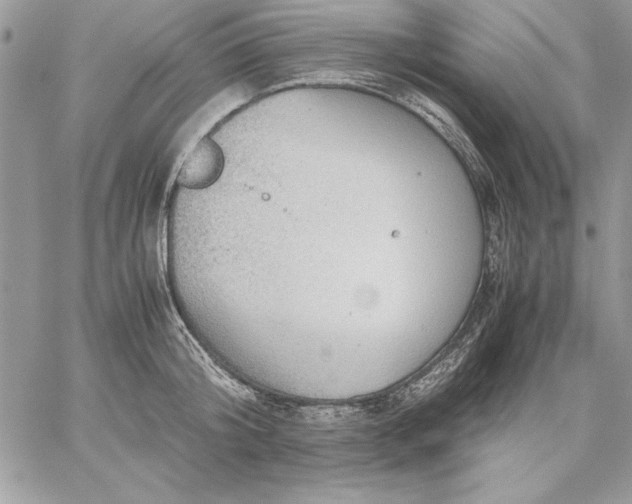 X0000059090804200510172053