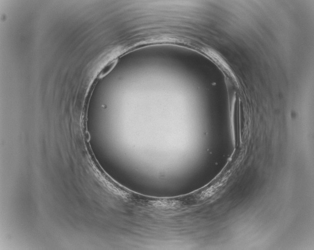 X0000059090805200510172053