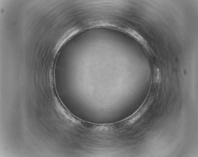 X0000059090806200510172053