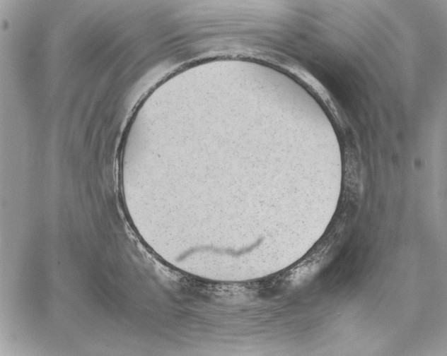 X0000059090807200510172053