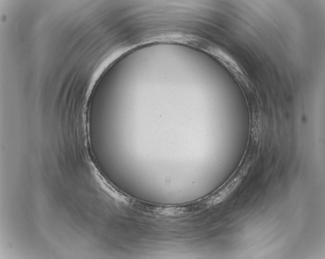 X0000059090808200510172053