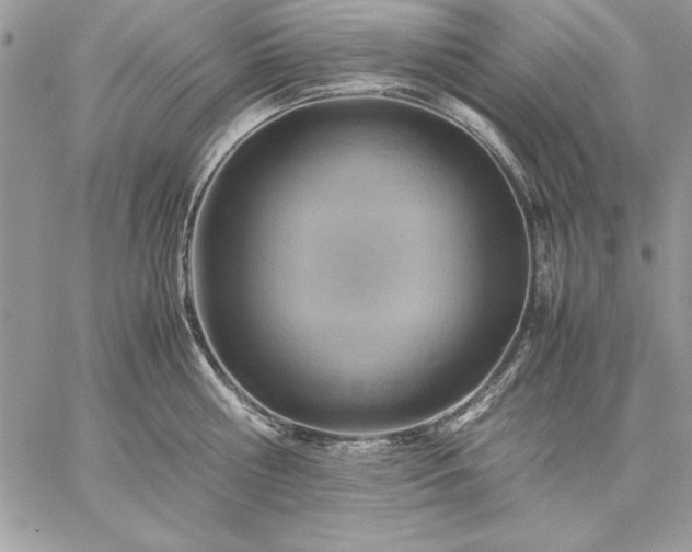 X0000059090810200510172053