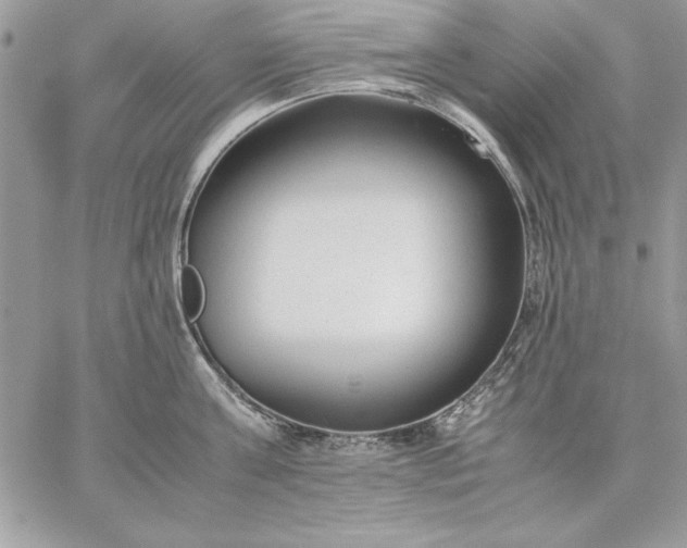 X0000059090811200510172053