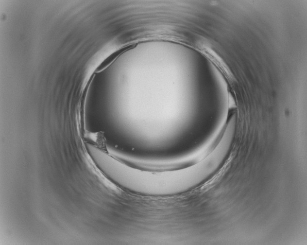 X0000059090812200510172053