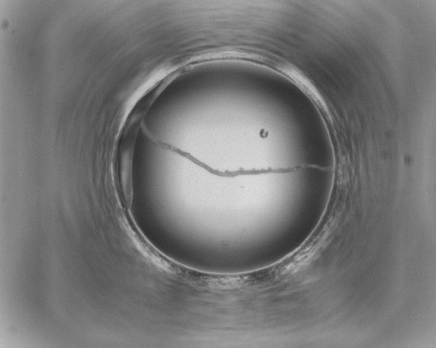 X0000059090813200510172053