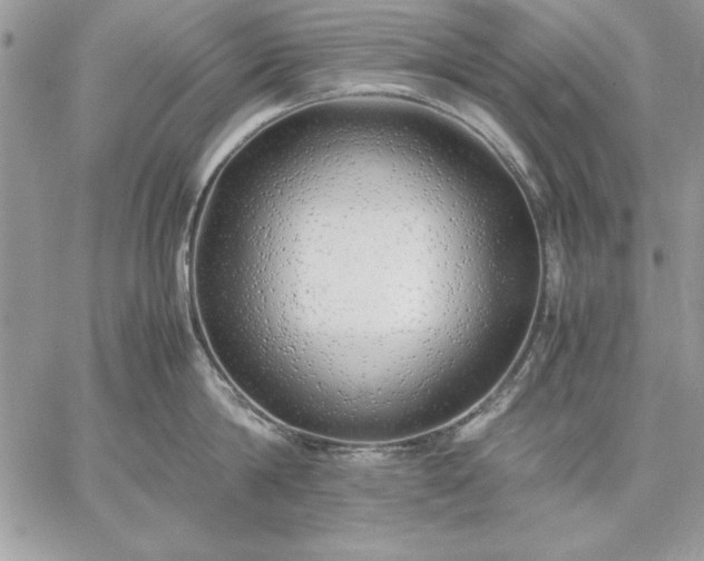 X0000059090814200510172053