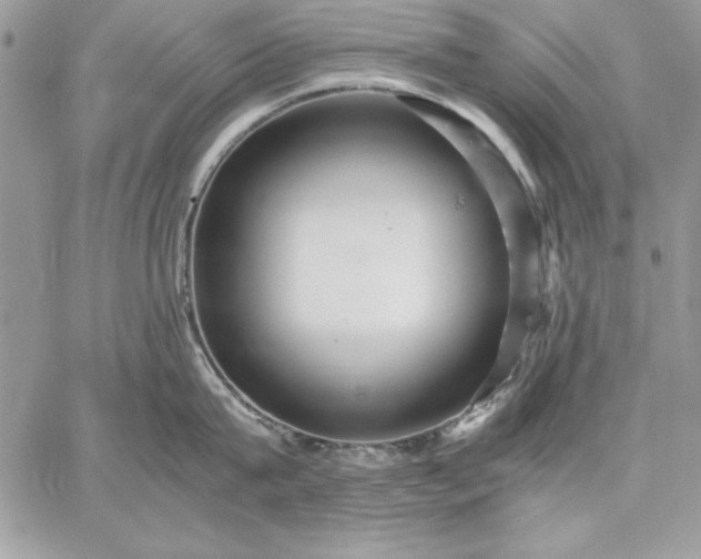 X0000059090815200510172053