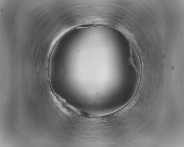 X0000059090816200510172053