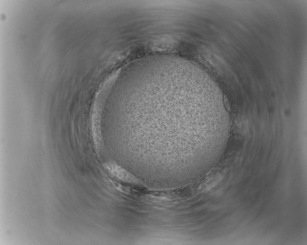 X0000059090817200510172052