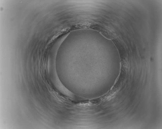 X0000059090818200510172052