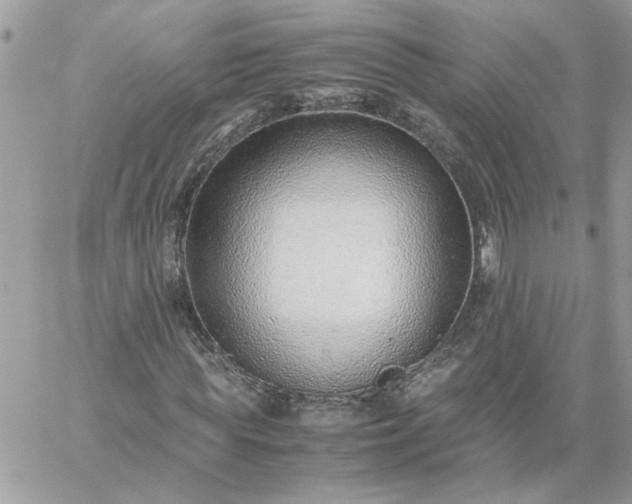 X0000059090819200510172052