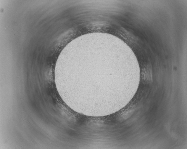 X0000059090820200510172052