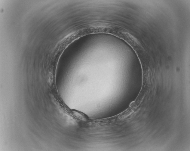 X0000059090821200510172052