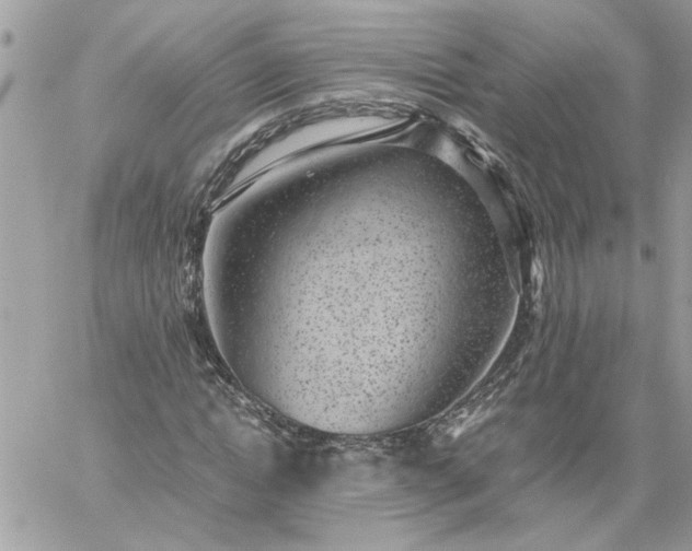 X0000059090822200510172052