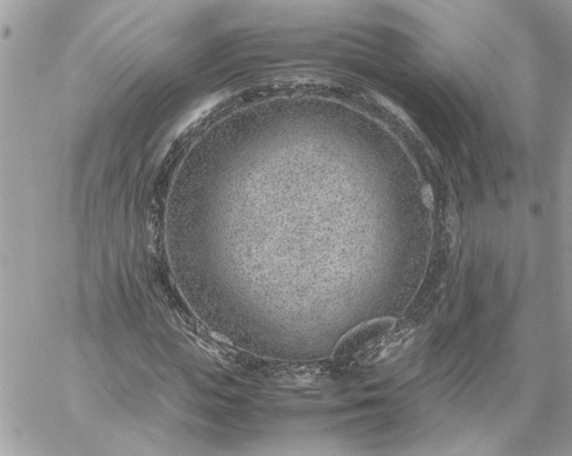 X0000059090823200510172052