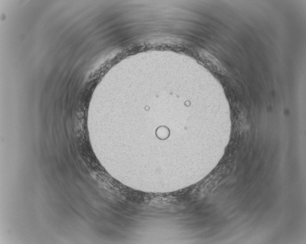 X0000059090824200510172052