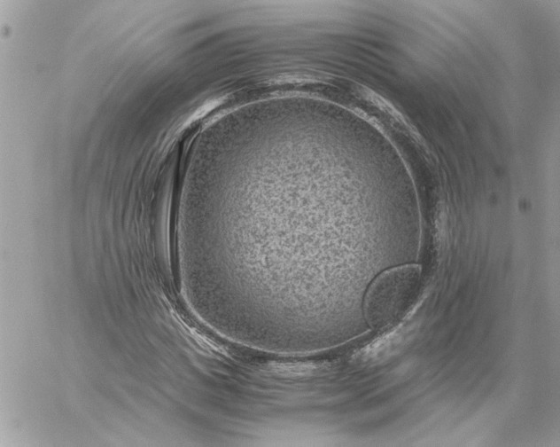 X0000059090825200510172052