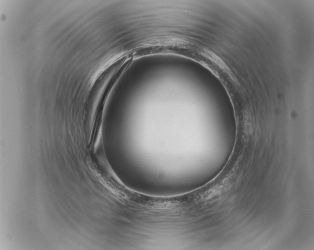 X0000059090826200510172052