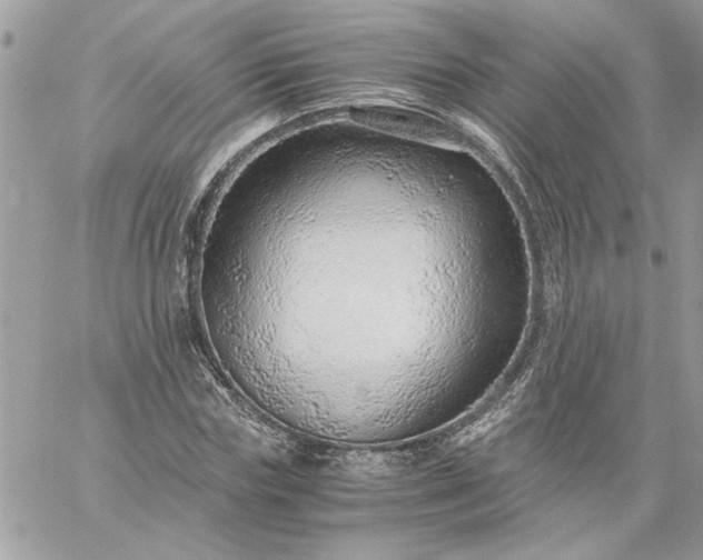 X0000059090827200510172052