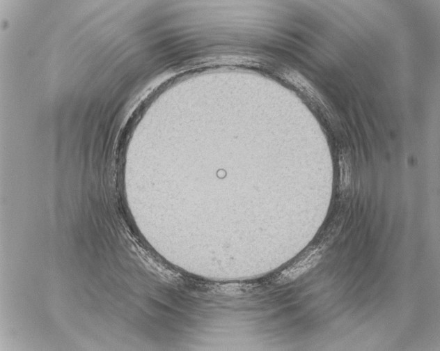 X0000059090828200510172052