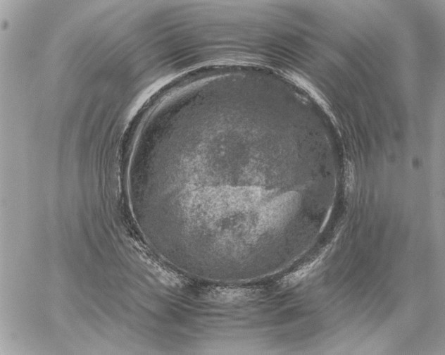 X0000059090829200510172052