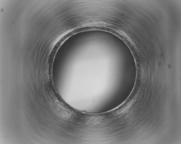 X0000059090830200510172052