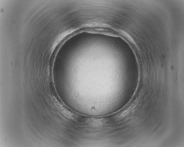 X0000059090831200510172052