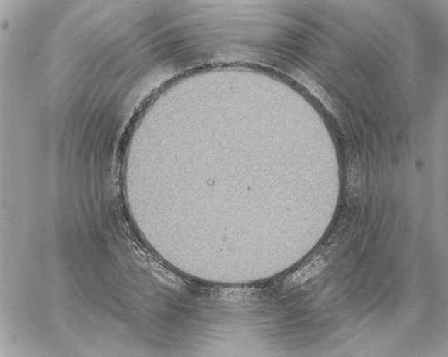 X0000059090832200510172052