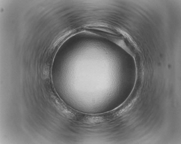 X0000059090833200510172052