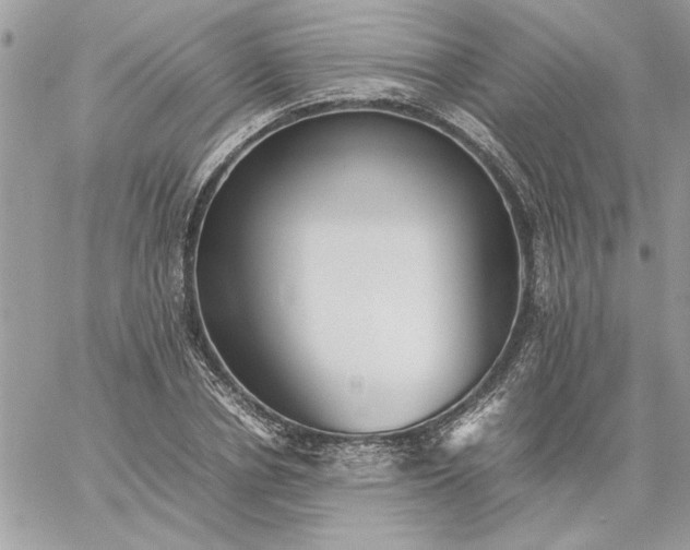 X0000059090834200510172052