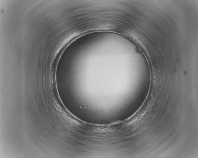 X0000059090835200510172052