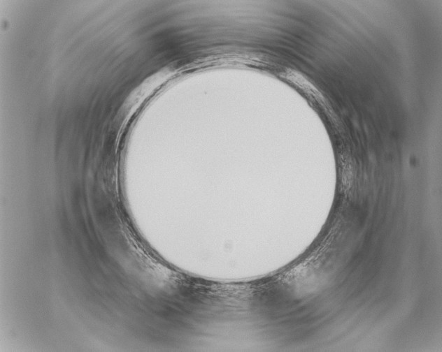 X0000059090836200510172052