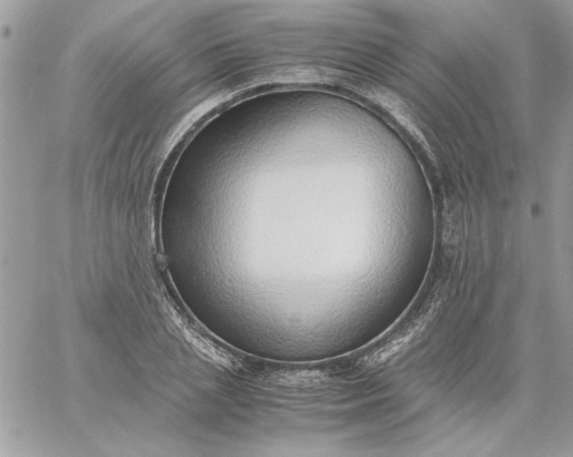 X0000059090837200510172052