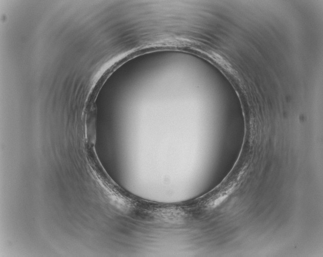 X0000059090838200510172052