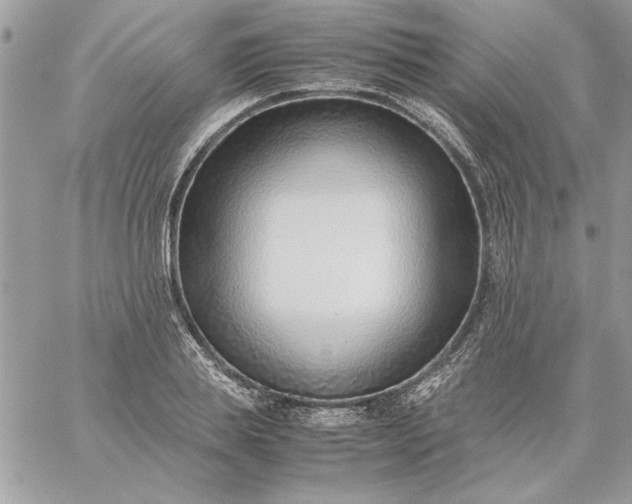 X0000059090839200510172052