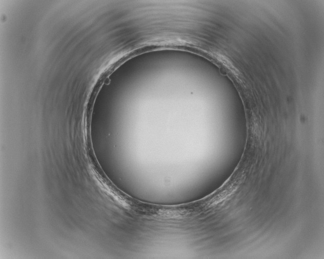 X0000059090840200510172052